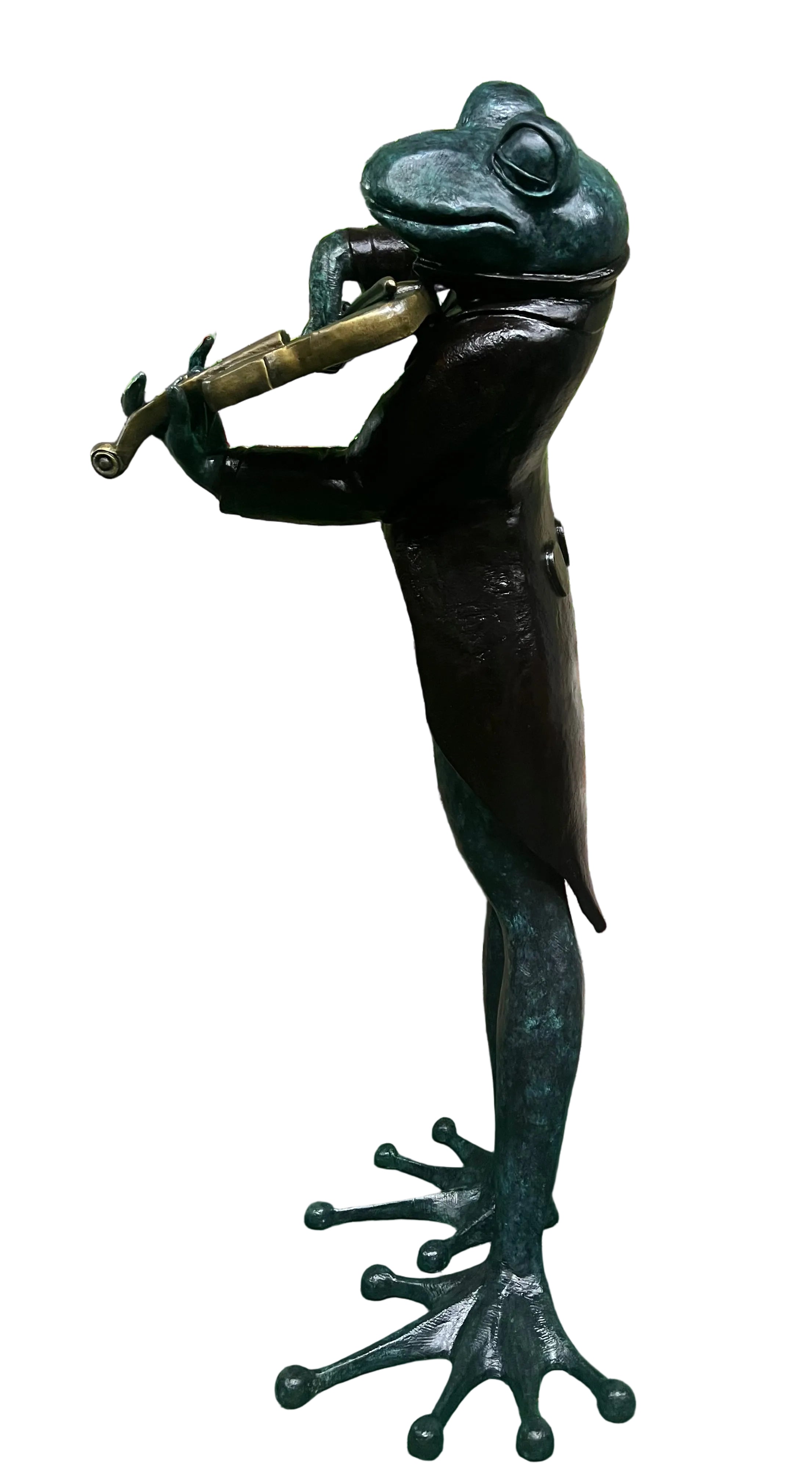 Musical Frog
